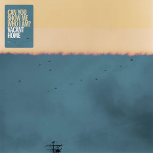 SD-049 - Vacant Home - Can You Show Me Who I Am?