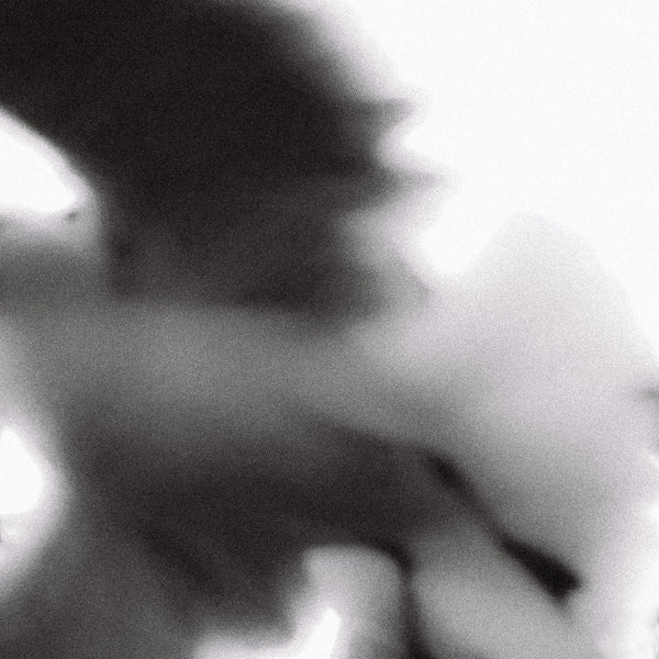 SD-033 - Sleep Talk - Have You Ever Seen A God